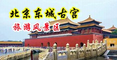 亚洲啊嗯不要在线中国北京-东城古宫旅游风景区